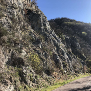 pareti rocciose nella località Rocca di Roffeno
