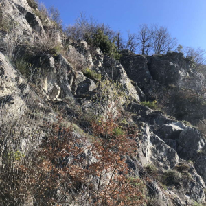 pareti rocciose nella località Rocca di Roffeno