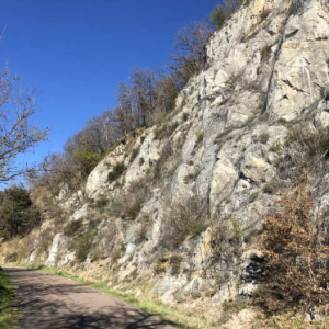 Bonifica delle pareti rocciose nella località Rocca di Roffeno - Monte Rocca