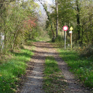 Tratto Sibano - Pioppe