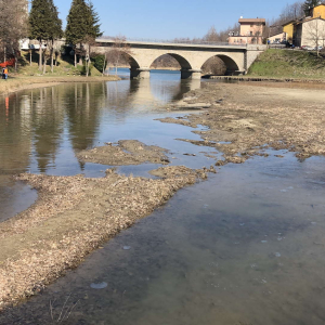 Area dove è previsto l'intervento